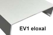 EV 1 silber Eloxal